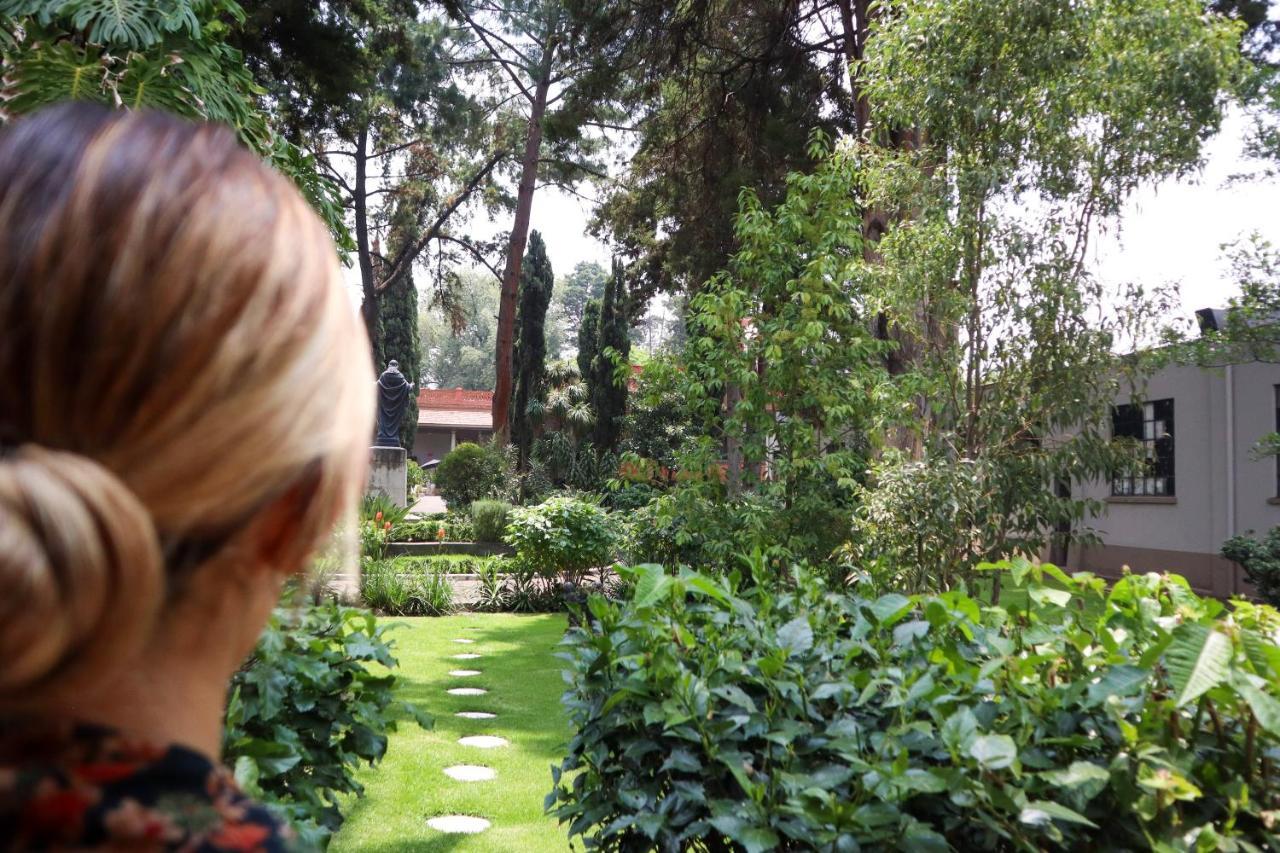 Utopia Hotel Boutique Mexico City Luaran gambar