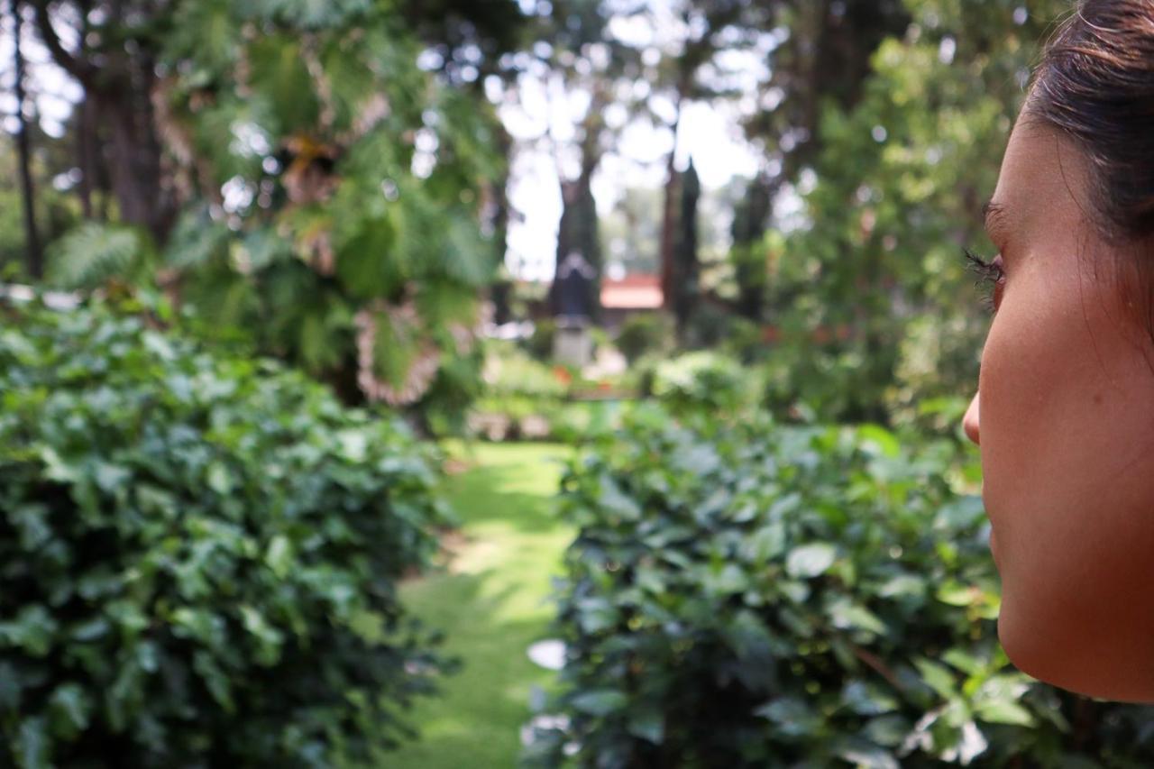 Utopia Hotel Boutique Mexico City Luaran gambar
