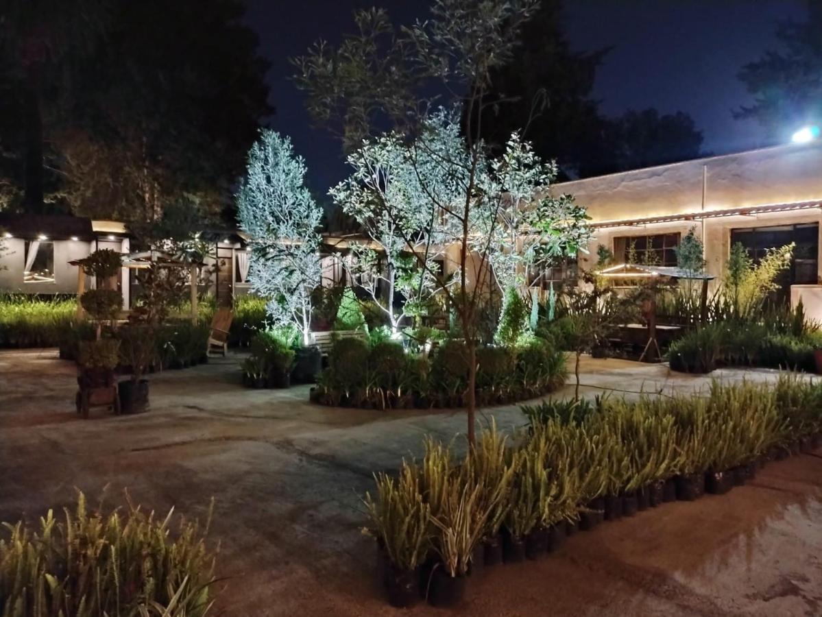 Utopia Hotel Boutique Mexico City Luaran gambar